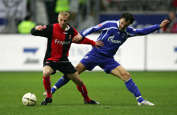 自我认知的 自我认知的