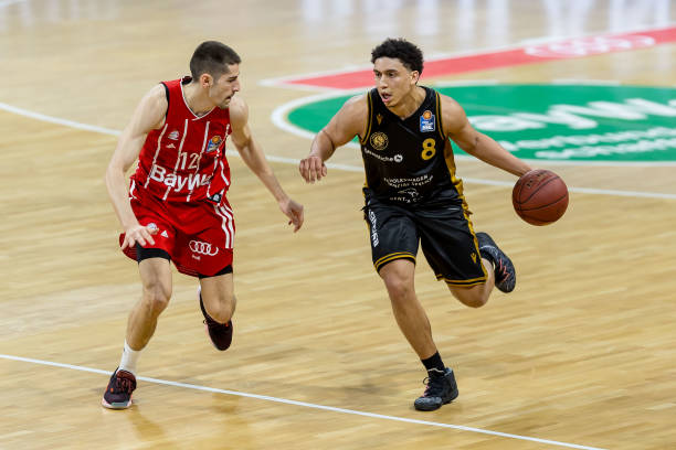 欧战中的野 欧战中的野